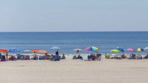 Une plage bordée de rangées de parasols colorés et de chaises de plage.