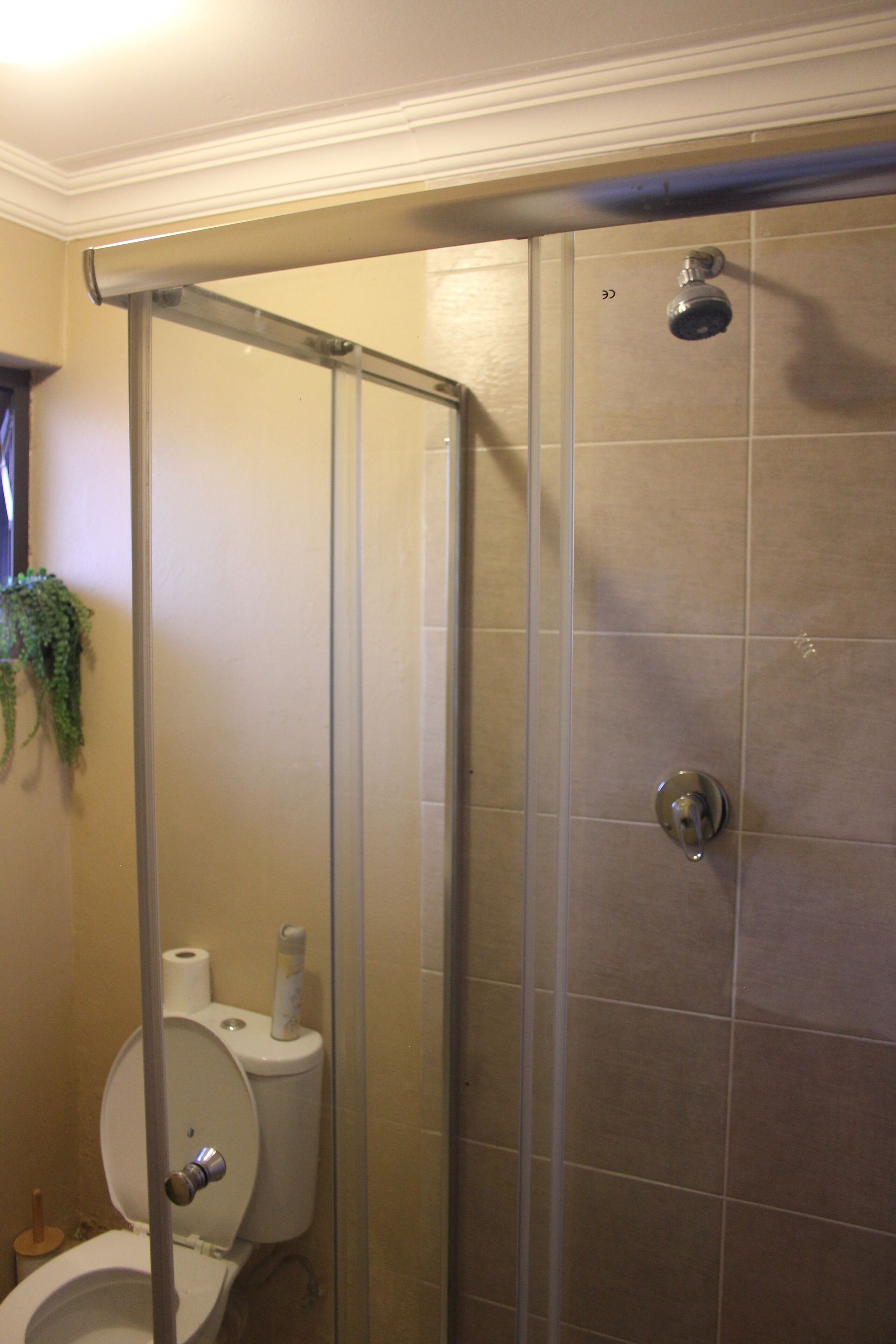 A bathroom with a toilet, a shower enclosure, and a wall-mounted plant.