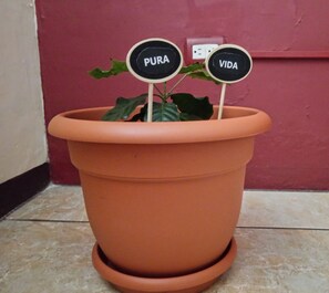 2 soverom, sengetøy av topp kvalitet og Tempur-Pedic-senger