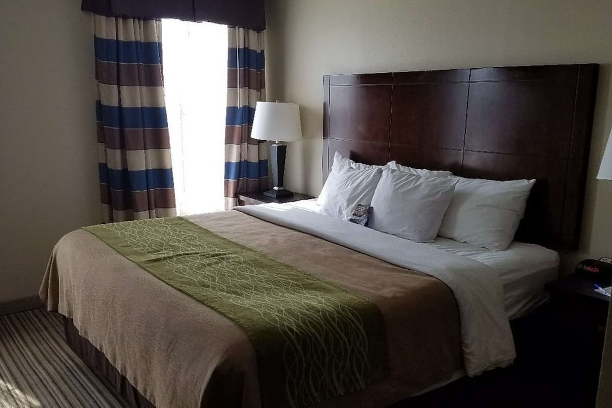 Standard Room, 1 King Bed, Non Smoking, Refrigerator & Microwave (with Single Sofabed) | Desk, laptop workspace, iron/ironing board, rollaway beds