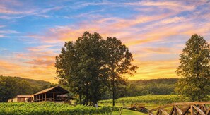 Property grounds - Discover High-End Rustic Luxury with Panoramic Views, Hot-Tub, Fire-Pit, Games (Morganton)