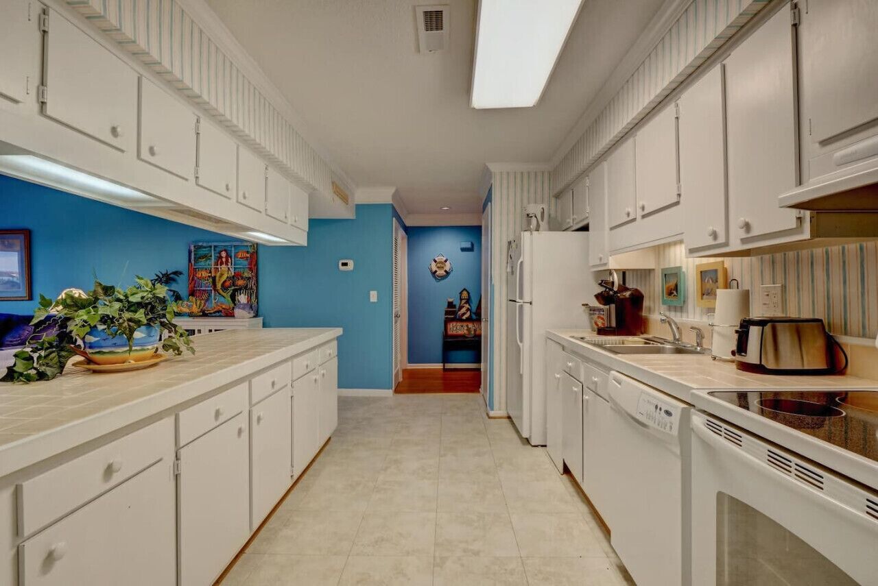 A narrow kitchen with white cabinets, a blue accent wall, and a potted plant on the counter.