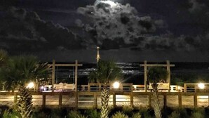 Ein Nachtblick auf einen Strand mit Holzzaun, Palmen und einem vom Mond beschienenen Himmel.