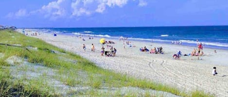 Una spiaggia nelle vicinanze