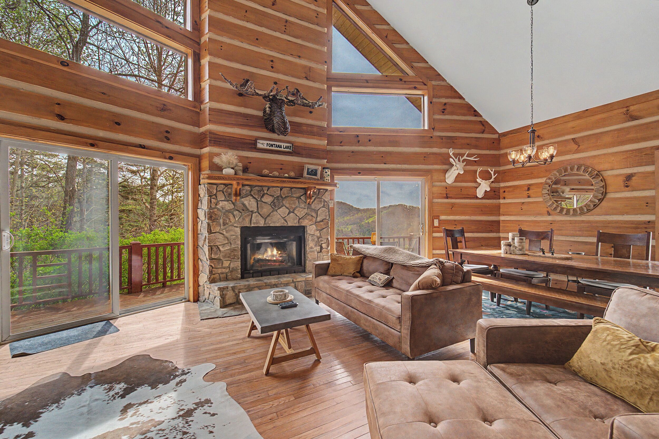 Smart TV, fireplace, books