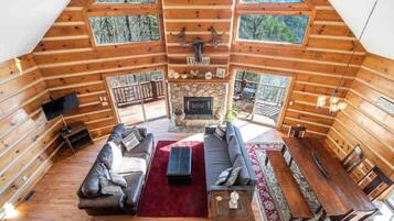 Smart TV, fireplace, books