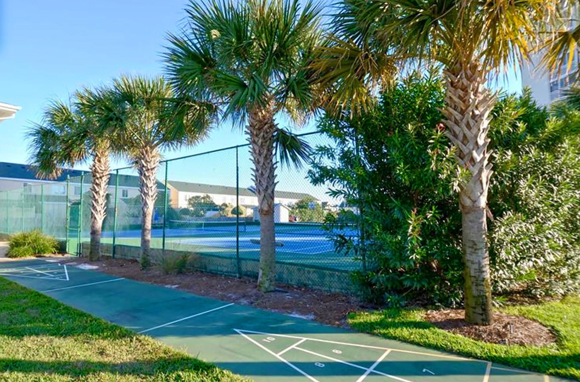 A tennis court with a green surface, surrounded by palm trees and a chain-link fence.