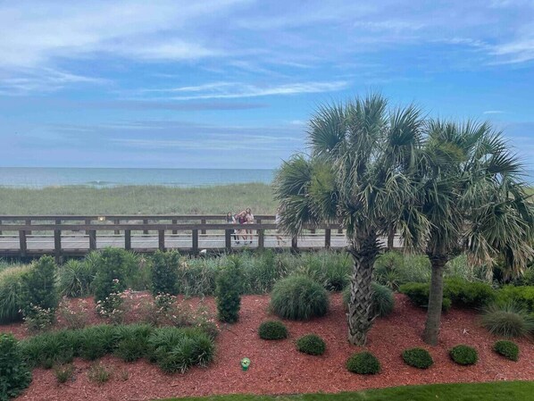 A coastal view with a wooden boardwalk, palm trees, and a beach in the background.