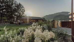 A modern building with a flat roof, surrounded by a well-maintained garden with white flowering plants and a grassy area. - Mariengut - Aparthotel Kramer (Wagrain)