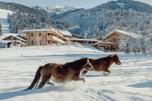 A wooden lodge with multiple balconies and a snow-covered landscape. - Mariengut - Aparthotel Kramer (Wagrain)