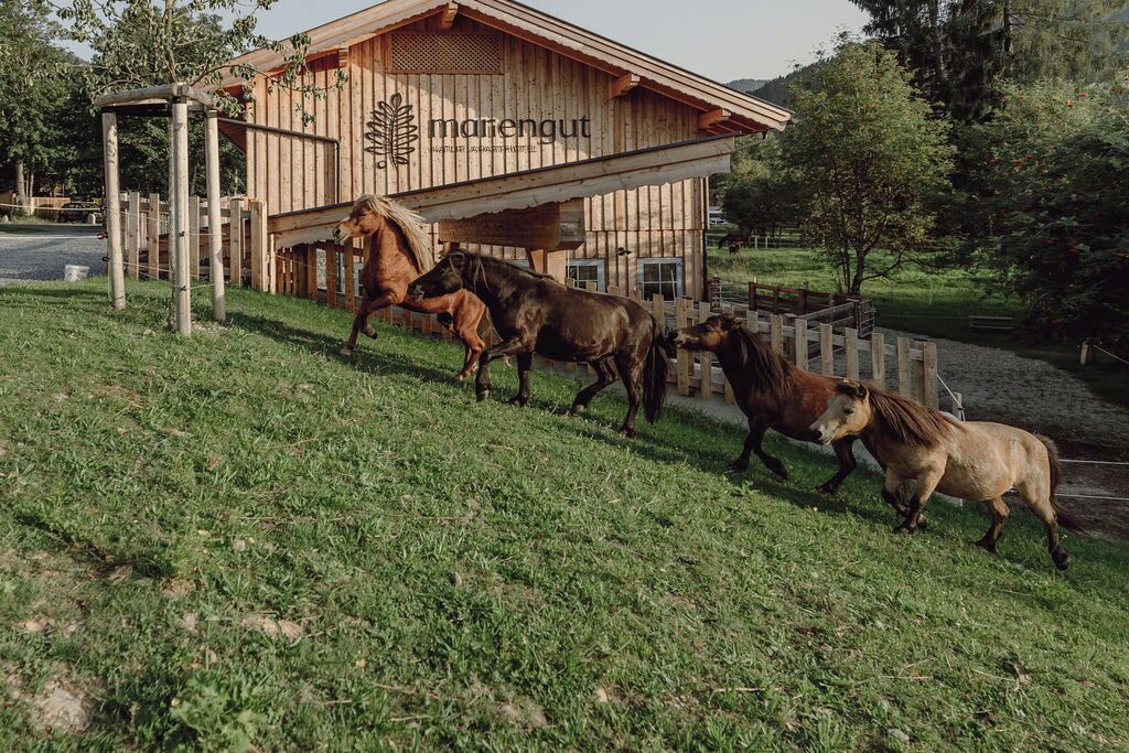 A wooden building with a sign reading 'marengut' and a horse in the foreground.