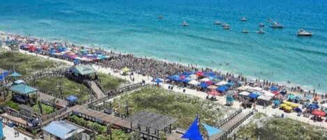 Playa en los alrededores