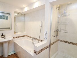 Shower, hair dryer