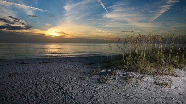 Een strand met zand, gras en een ondergaande zon boven het water.