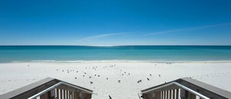 Apartment, 1 King-Bett und Schlafsofa (Holiday Surf and Racquet Club 711) | Strand