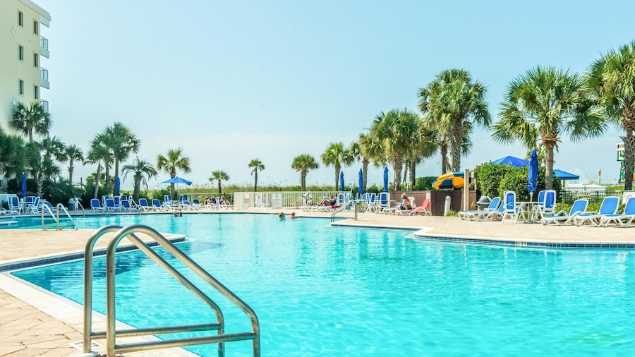 Destin West Bayside Heron 507- A Wave From It All