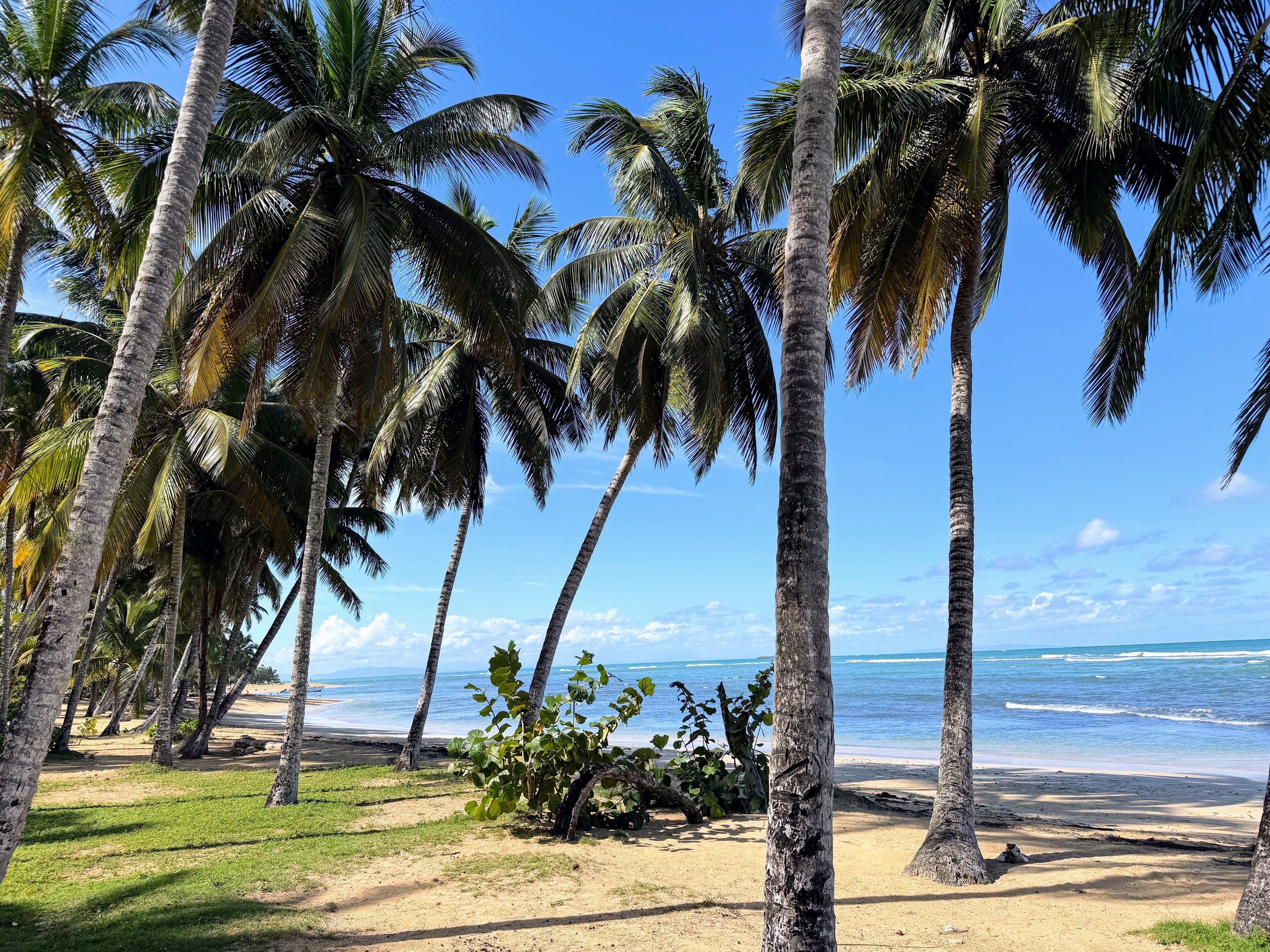Plage, chaises longues, serviettes de plage