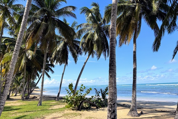 Plage, chaises longues, serviettes de plage