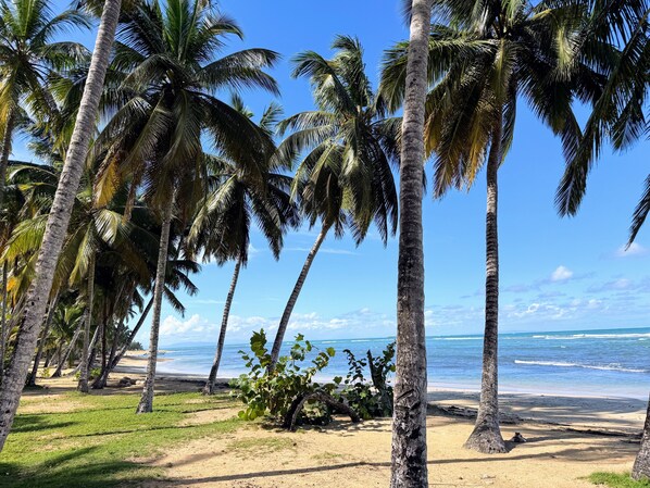 Sur la plage, chaise longue, serviettes de plage