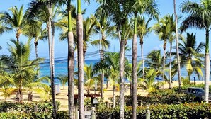 A tropical resort with palm trees, a beach, and a paved walkway.