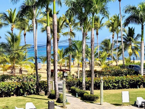 Un resort tropical con palmeras, una playa y un camino pavimentado.