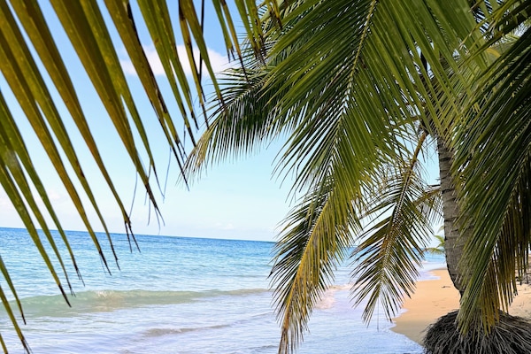 On the beach, sun-loungers, beach towels
