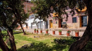 Une rangée de bâtiments devant laquelle sont disposés des pots de plantes.
