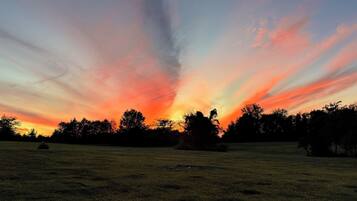 A sunset over a grassy field with trees in the background.