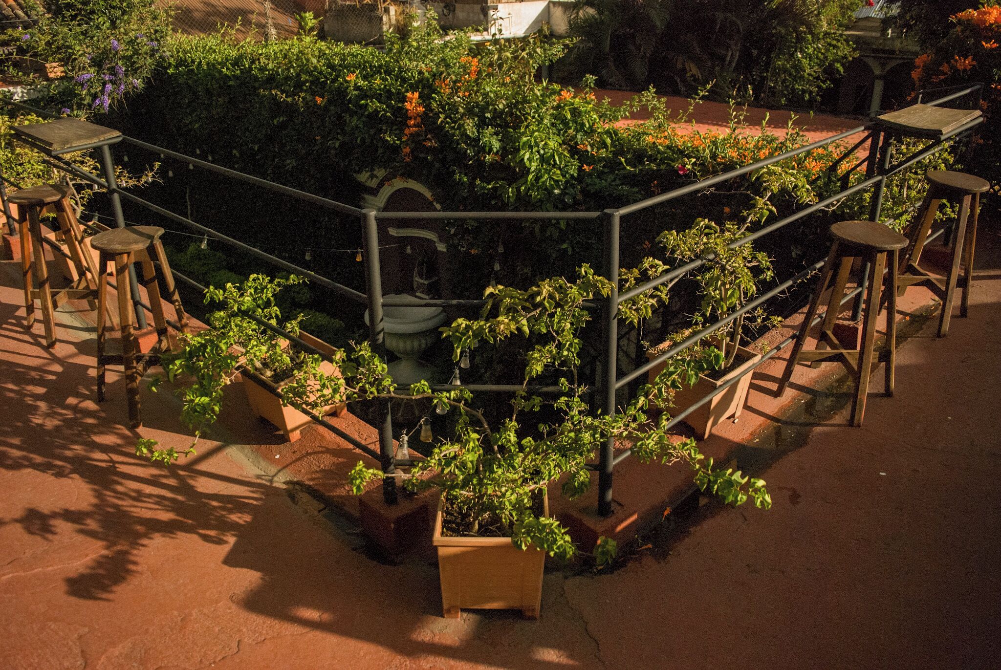 Foto - Tzunun Hostel