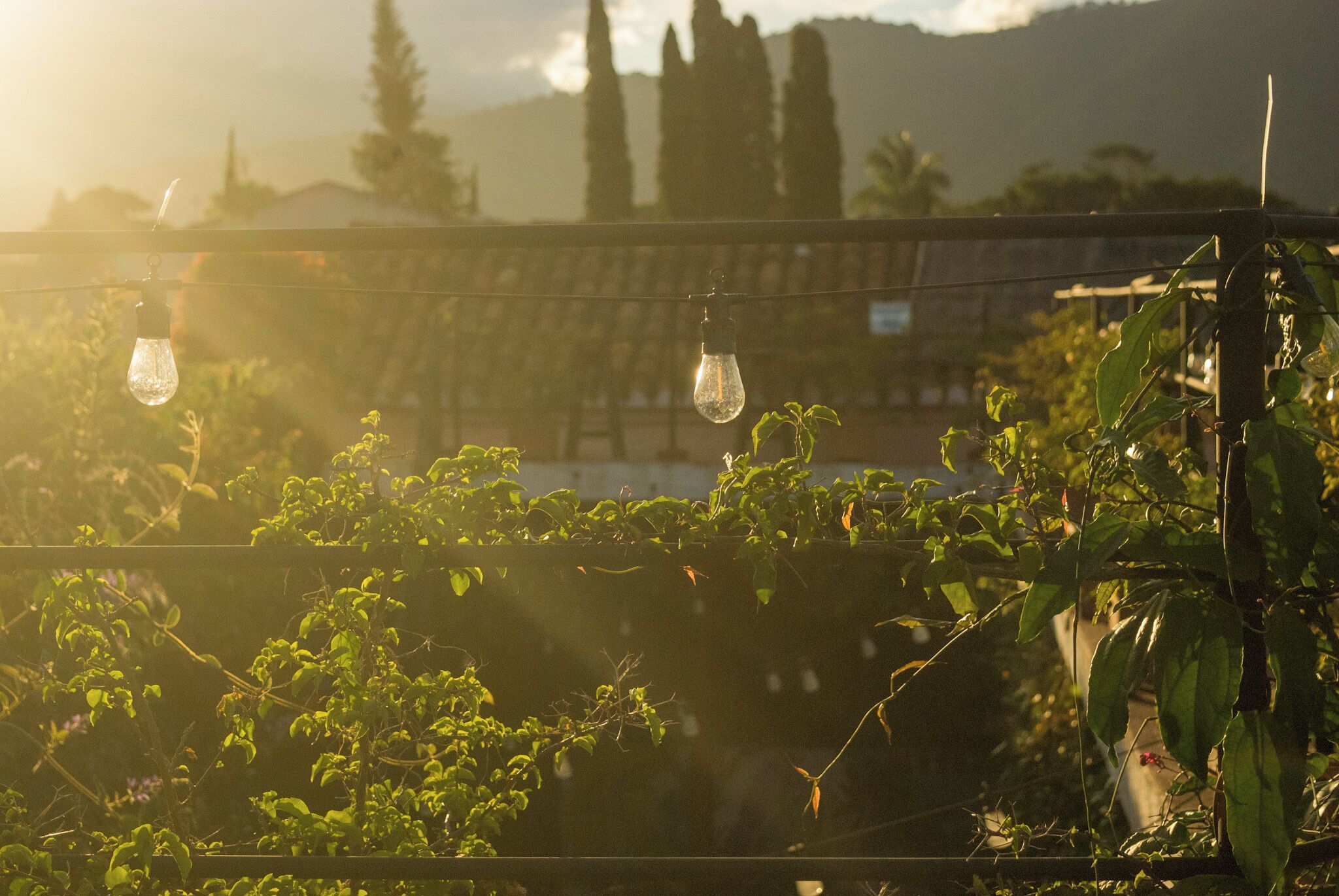 Foto - Tzunun Hostel