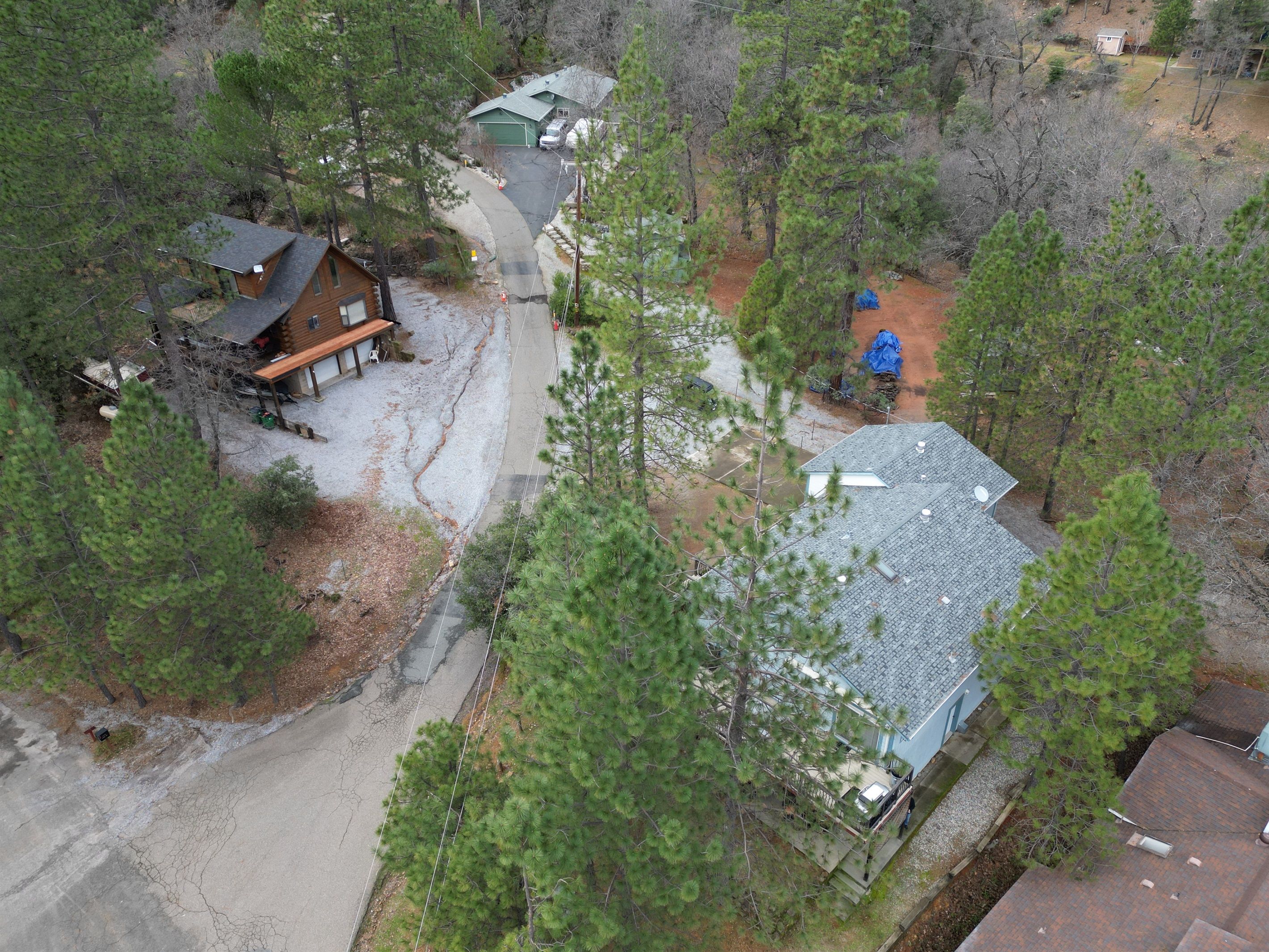 A residential area with multiple houses, a driveway, and surrounding trees.