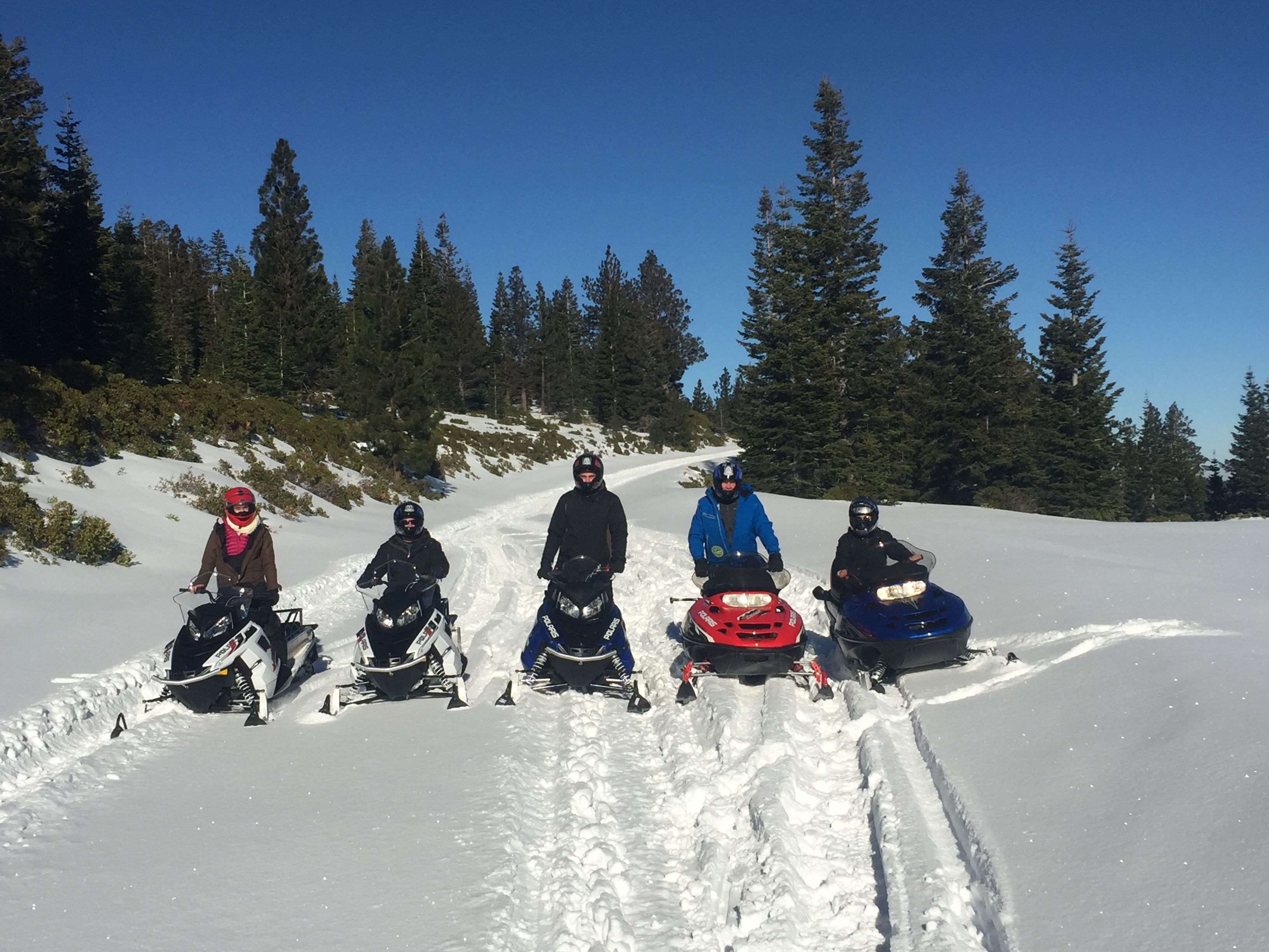 Eine Gruppe von Personen fährt mit Schneemotoren auf einem verschneiten Weg, im Hintergrund sind Bäume zu sehen.