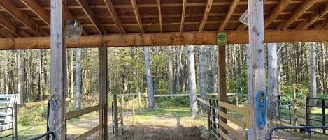 Enceinte de l’hébergement