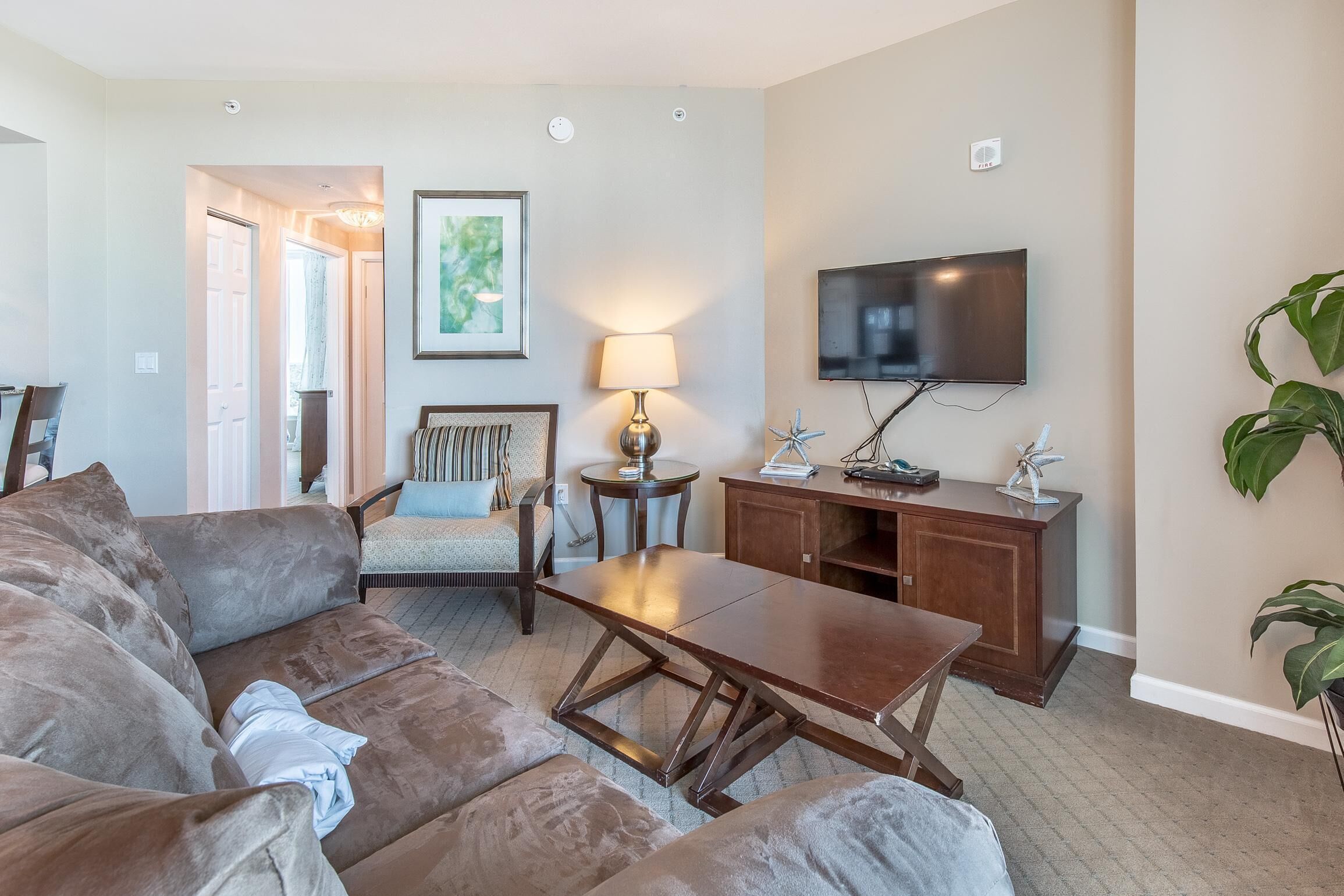 A living room with a sofa, a coffee table, a TV, a lamp, and a plant.