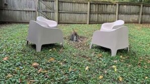 Two white plastic chairs in a grassy backyard with a wooden fence in the background. - Hangout House play, work, and visit (Nashville)