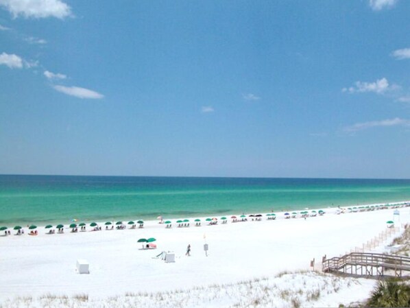 Condo, 1 King Bed with Sofa bed (Windancer 110) | Beach | On the beach