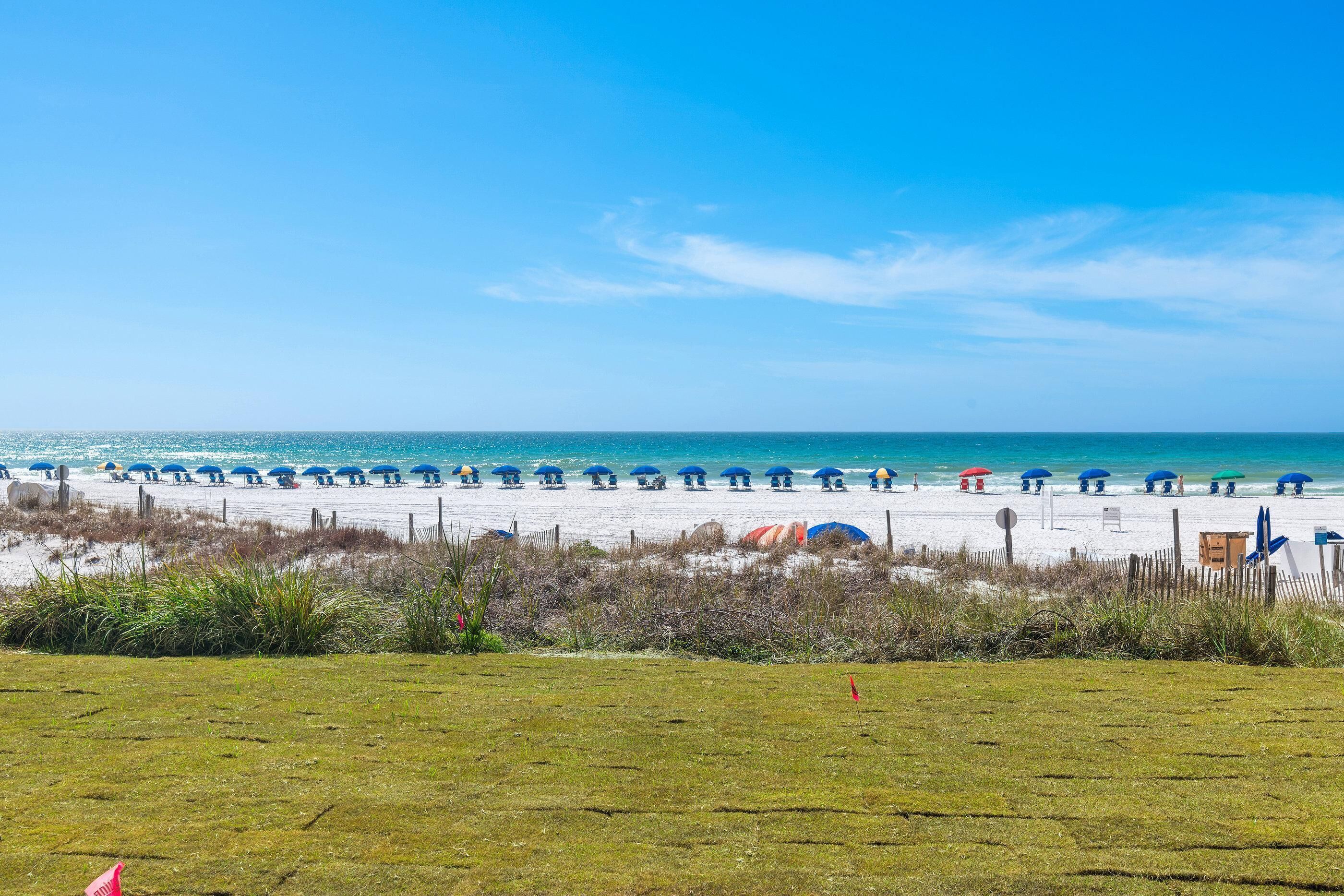 A beach with umbrellas and people, a grassy area in the foreground, and the ocean in the background.