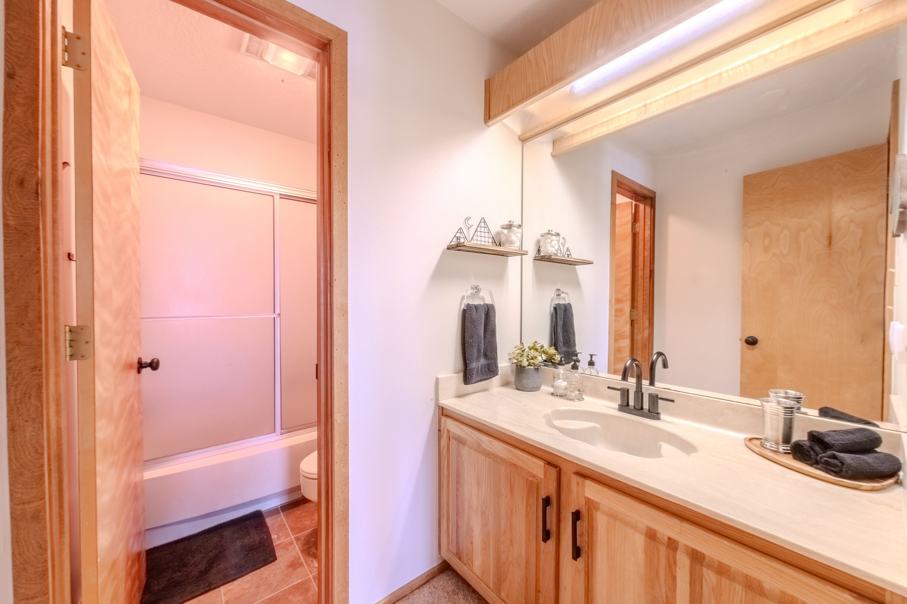 Hair dryer, towels, soap, shampoo