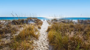 Un sentier de sable qui longe la plage et mène à l’océan, bordé de hautes herbes.