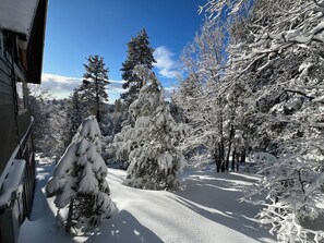 A snow-covered landscape with trees and a building. - Big Bear Treehouse-HOT TUB-Gorgeous Views (Big Bear Lake)