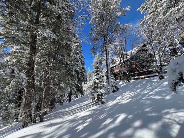 A snow-covered landscape with trees and a building.