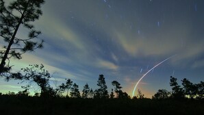 Cielo nocturno con estelas de estrellas visibles y silueta de un árbol.