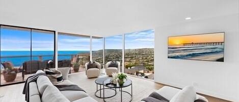 Smart TV, fireplace, books