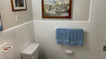 Hair dryer, towels, toilet paper