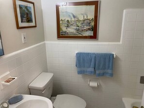 Hair dryer, towels, toilet paper