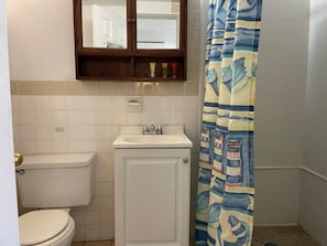 Secadora de cabello, toallas, papel de baño