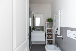 Shower, hair dryer, bidet, towels