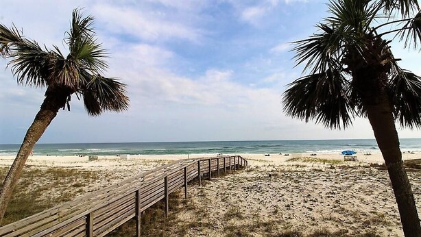 A beach with a wooden walkway, palm trees, and the ocean. - Shipwatch A201 (Pensacola)