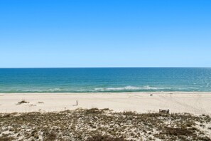 A beach with a sandy shore, a wooden bench, and sparse vegetation.