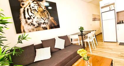 Modern Apartment Plaza Castilla